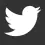 Twitter-ico